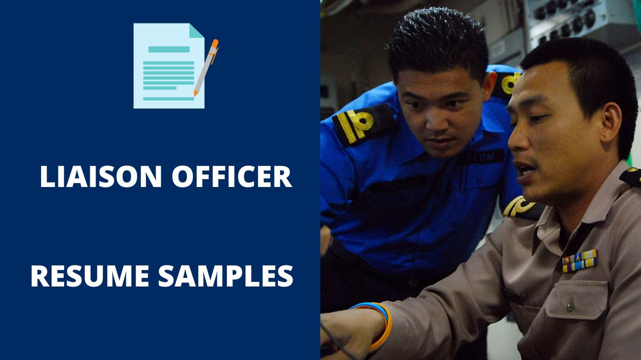 sample resume of liaison officer